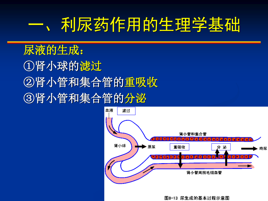 利尿药及脱水药(本)---副本.ppt_第3页