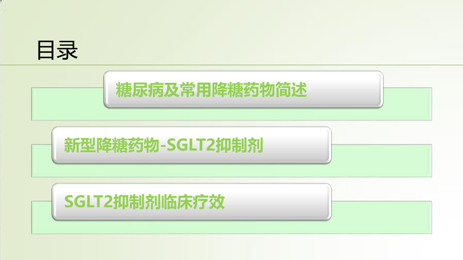 SGLT2抑制剂在糖尿病中的应用.pptx_第2页