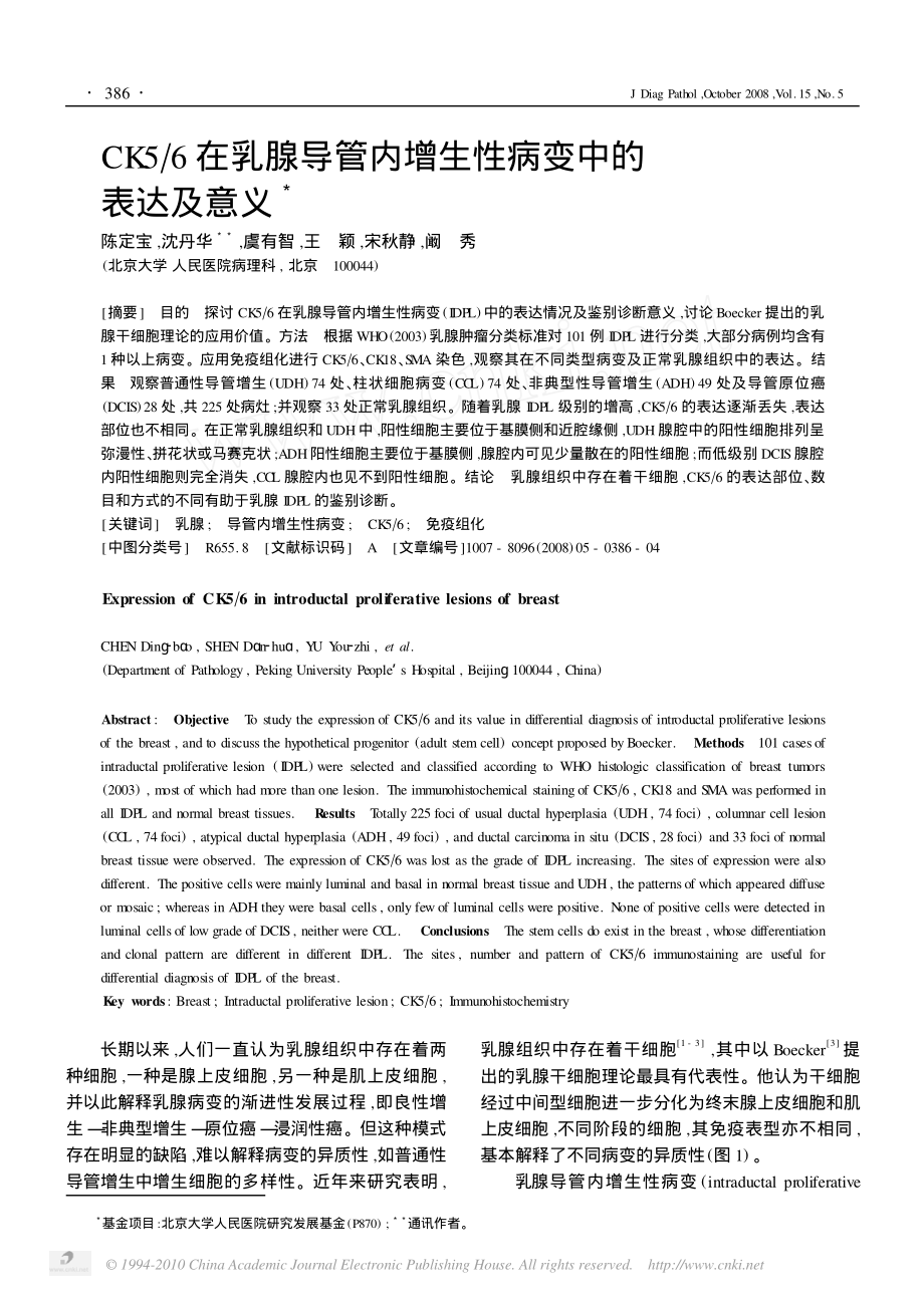 CK5-6在乳腺导管内增生性病变中的表达及意义.pdf_第1页