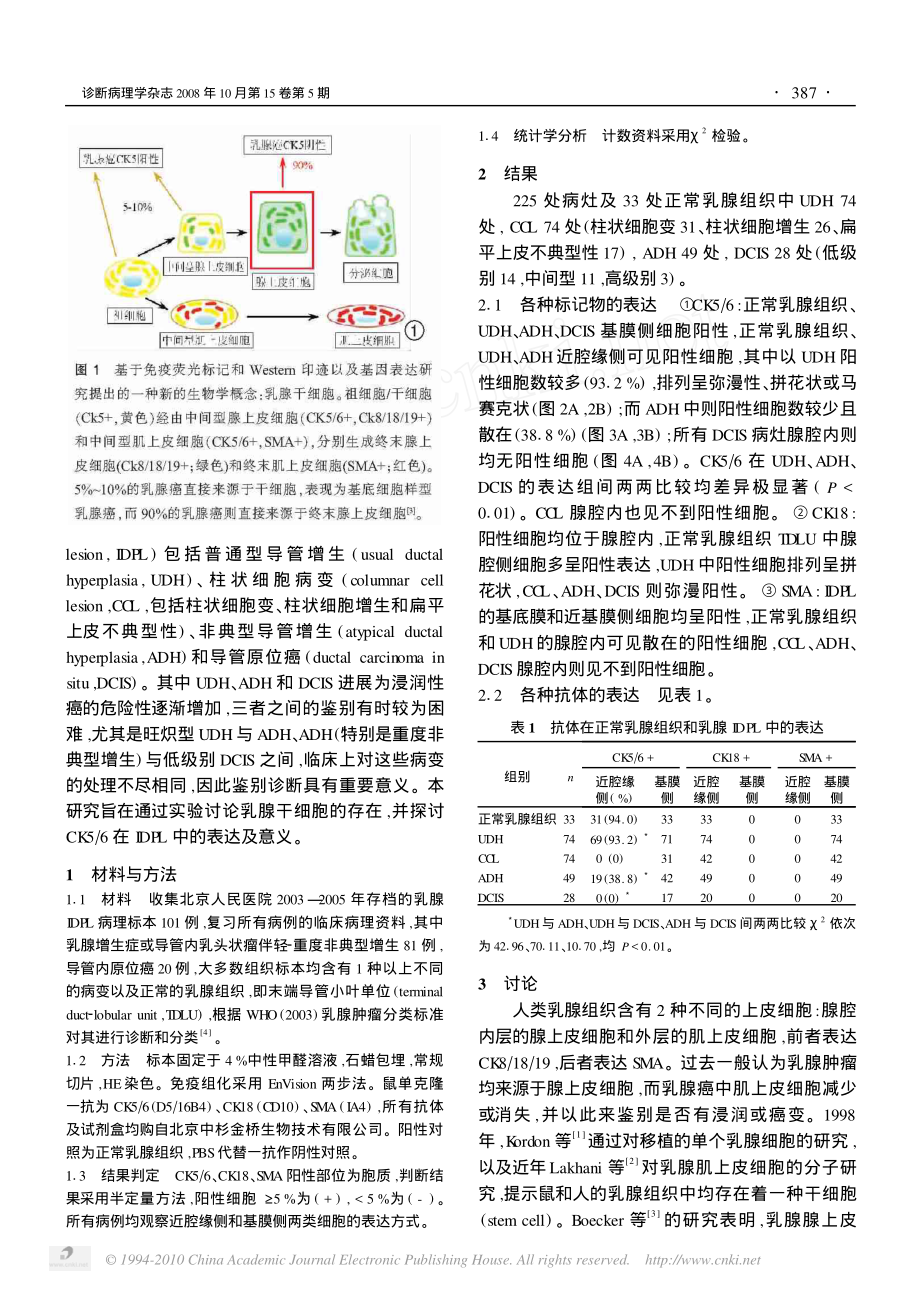 CK5-6在乳腺导管内增生性病变中的表达及意义.pdf_第2页