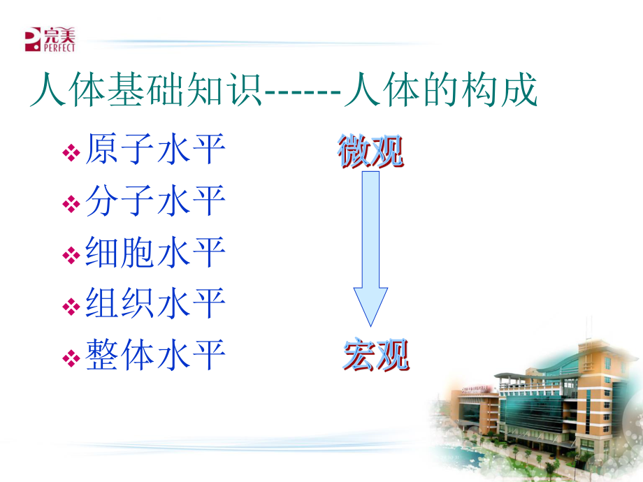 人体及营养基础知识.ppt_第3页