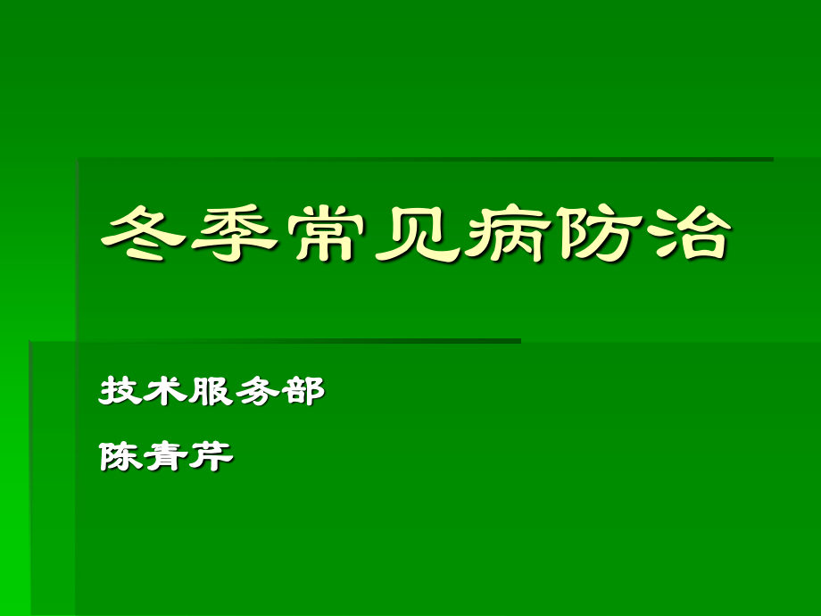 冬季常见禽病防治.ppt_第1页