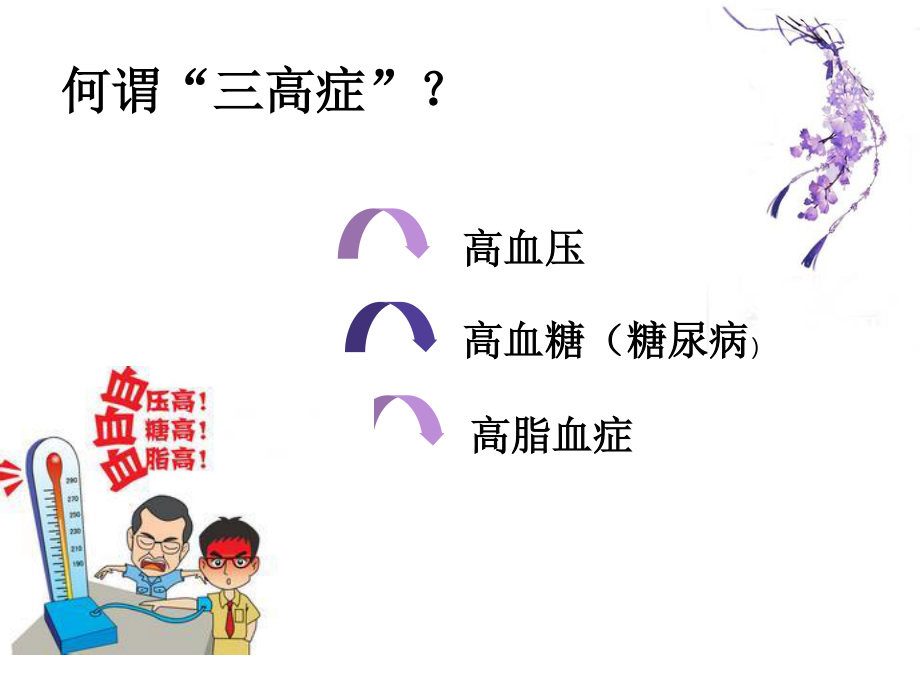 三高症防治策略ppt.ppt_第2页