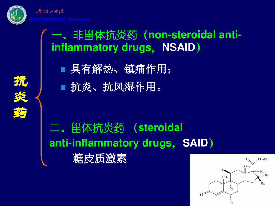 cq18解热镇痛抗炎教程.ppt_第3页