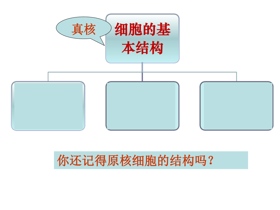 上课细胞器-系统内的分工合作-ppt.ppt_第3页