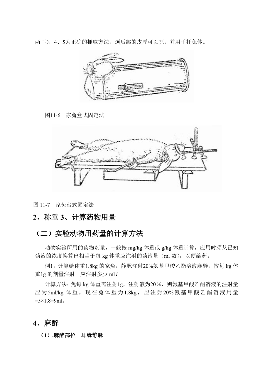 兔的外科手术.doc_第2页