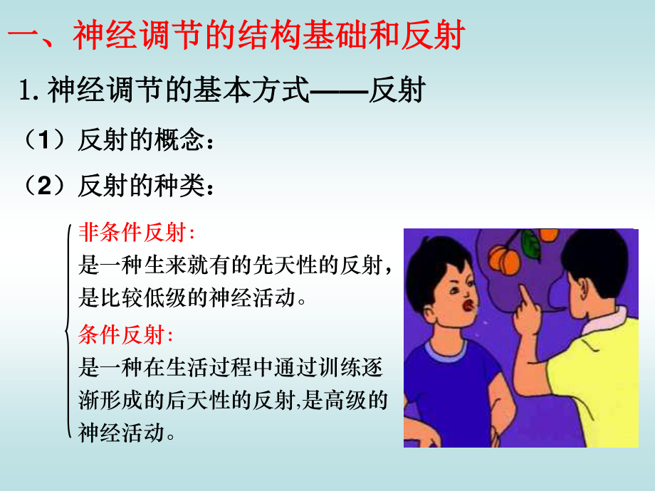 动物和人体生命活.ppt_第3页