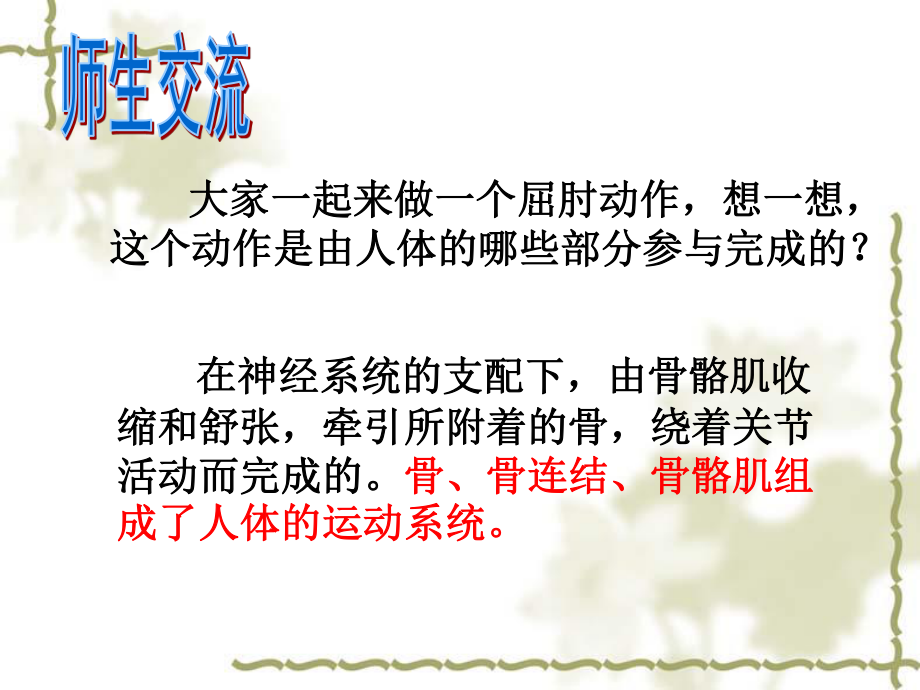 人体的支持与运动.ppt_第2页