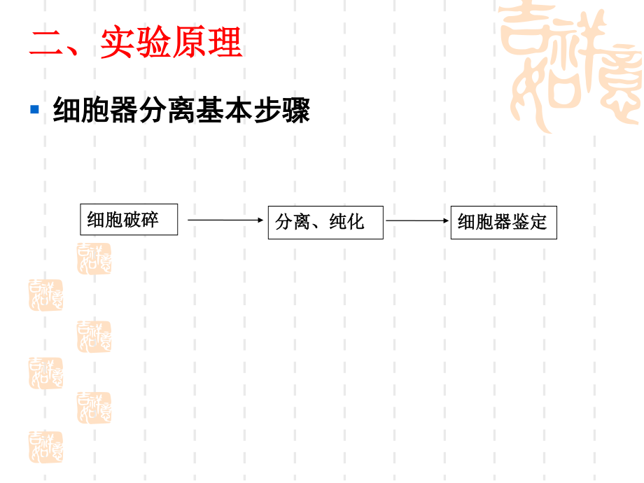 6细胞核和线粒体的分离和观察.ppt_第3页