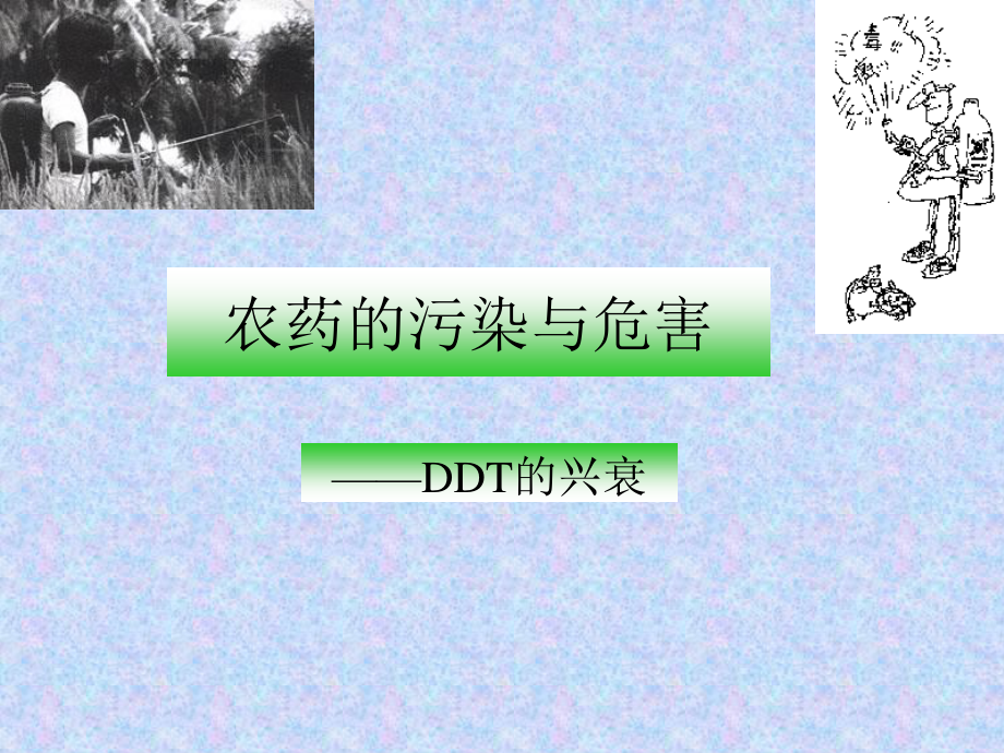 农药的污染与危害分析.ppt_第1页