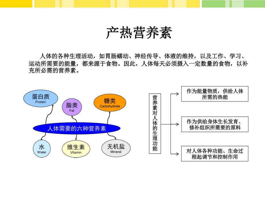 三大产热营养素.ppt_第2页