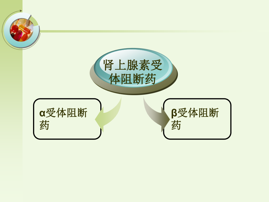 传出神经系统用药5.ppt_第2页