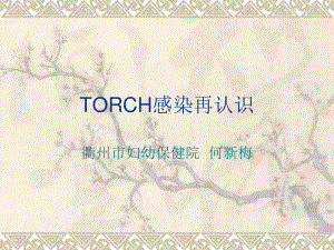 TORCH感染再认识.ppt