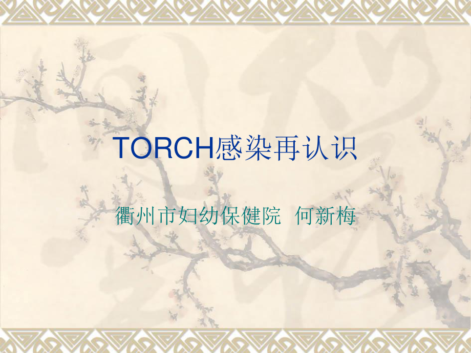 TORCH感染再认识.ppt_第1页