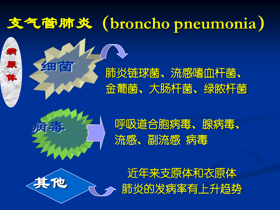 临-床-医-学-概-论.肺炎.ppt_第3页