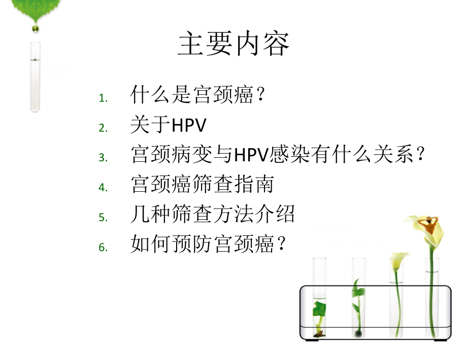 HPV感染与宫颈癌.ppt_第3页