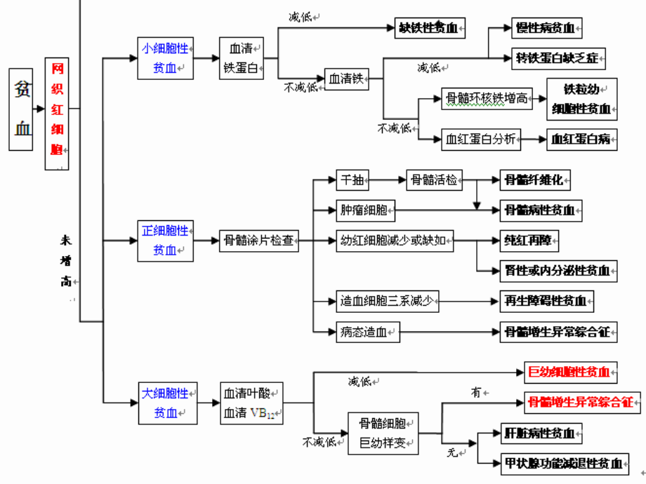 全国血液细胞形态学.ppt_第3页