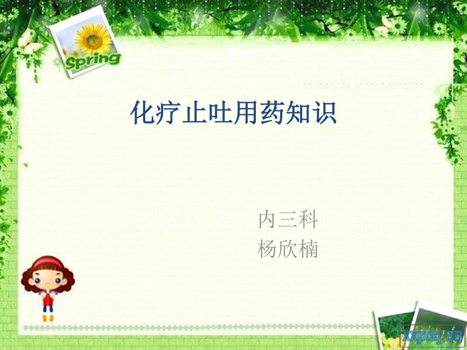 化疗止吐用药知识.ppt_第1页