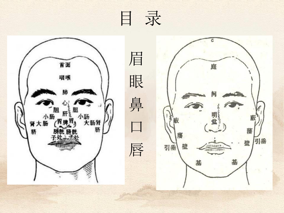 中诊望面部-见微知著(详细).ppt_第2页