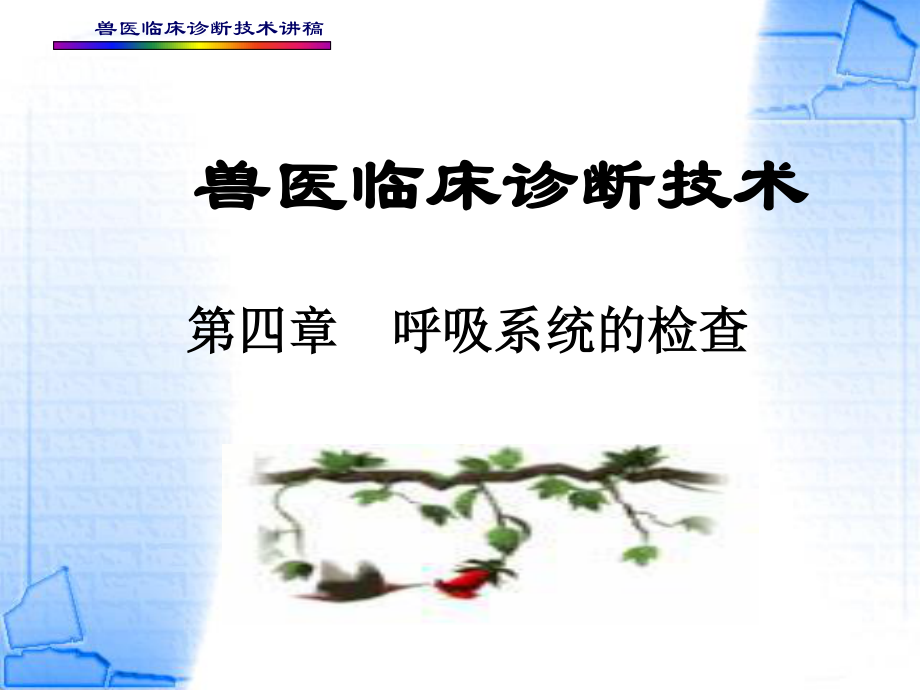 4第四章--呼吸系统的检查.ppt_第1页