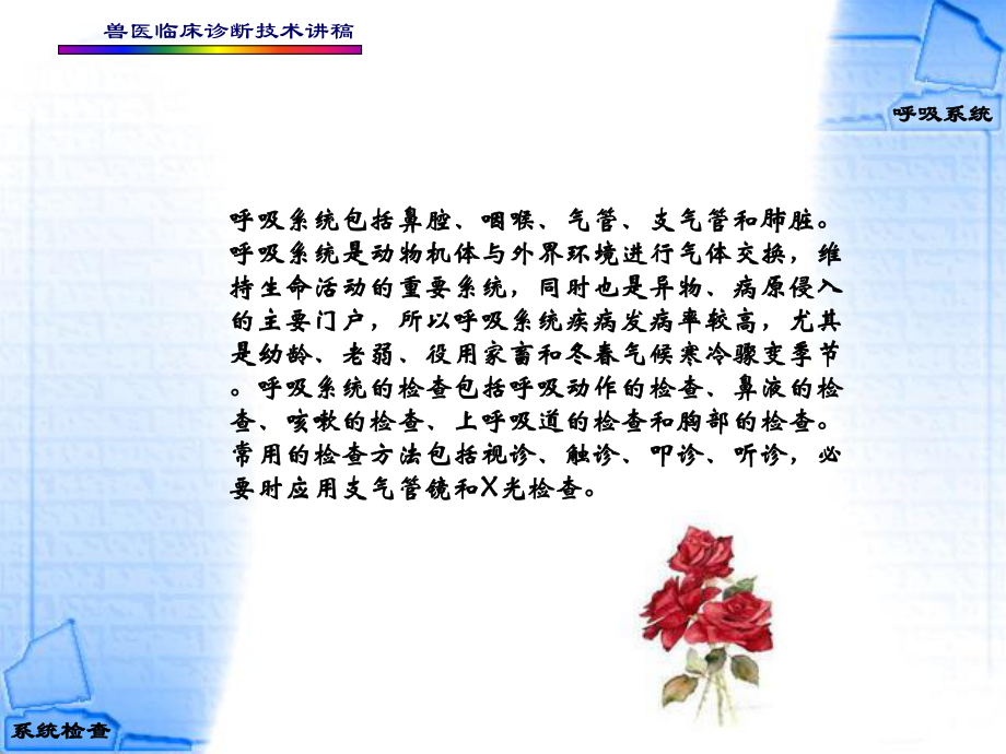 4第四章--呼吸系统的检查.ppt_第2页