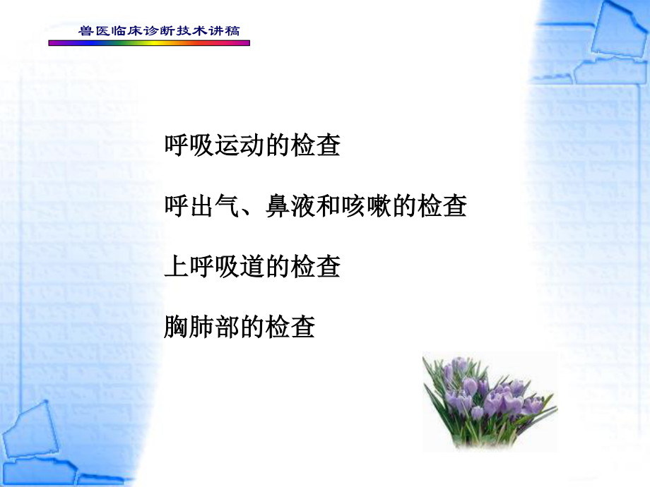 4第四章--呼吸系统的检查.ppt_第3页