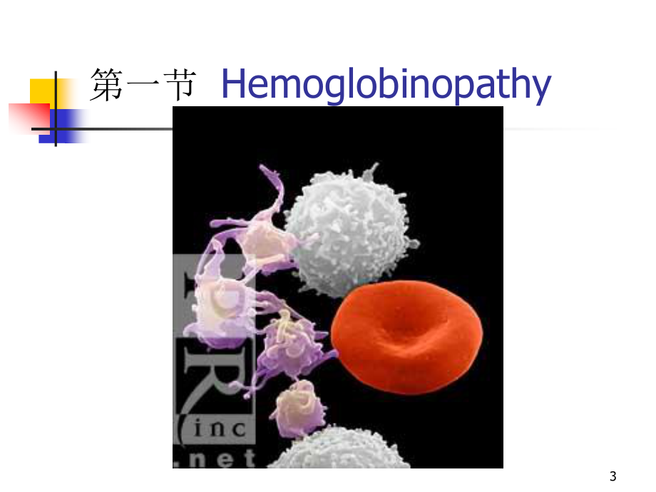 分子病与遗传性酶病-(2).ppt_第3页