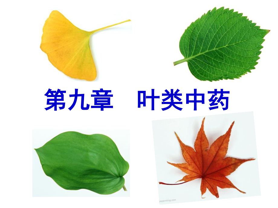 《花叶类药材》ppt件.ppt_第1页