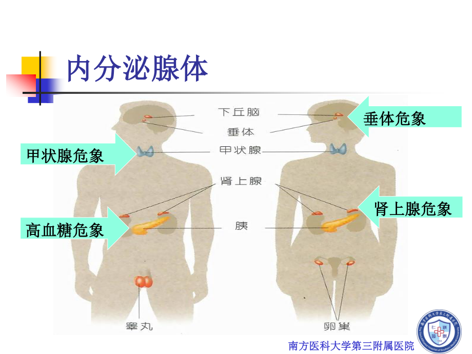 全科医生-内分泌急救.ppt_第2页