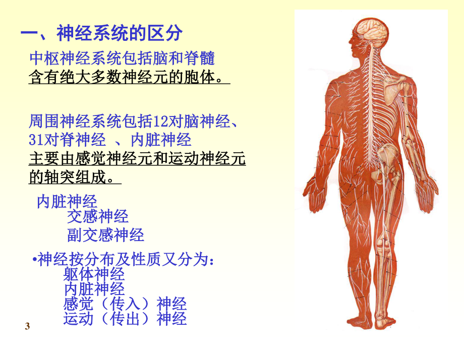 傅健简介——末-梢-神-经-炎--概-括.ppt_第3页