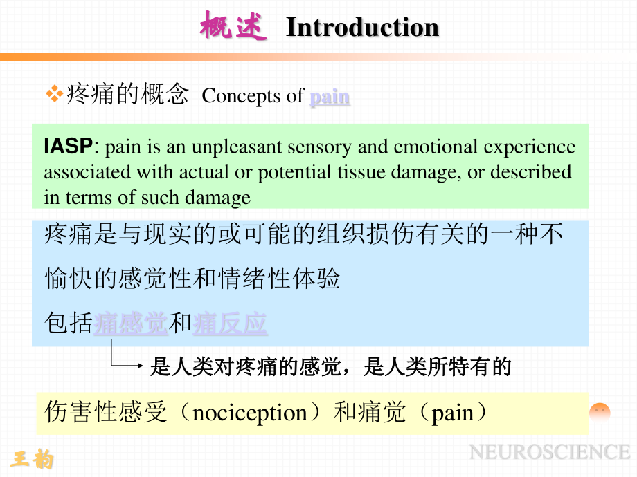 p2痛觉产生的基础理论知识.ppt_第3页