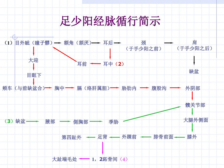 人体经络穴位图谱11胆经.ppt_第3页