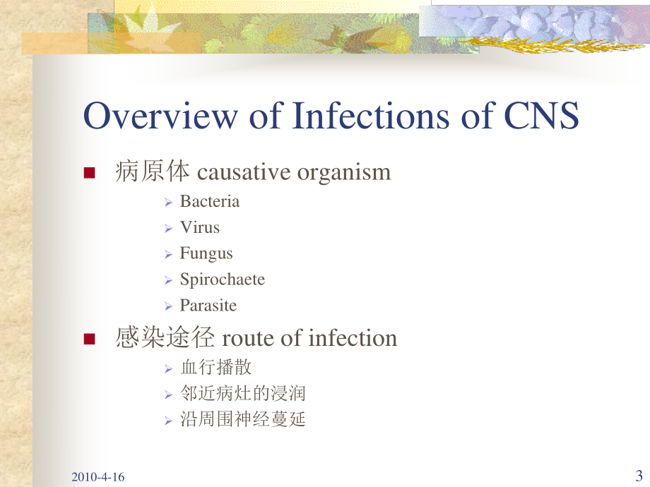 中枢神经系统感染进修医生2010-PPT文档.ppt_第3页