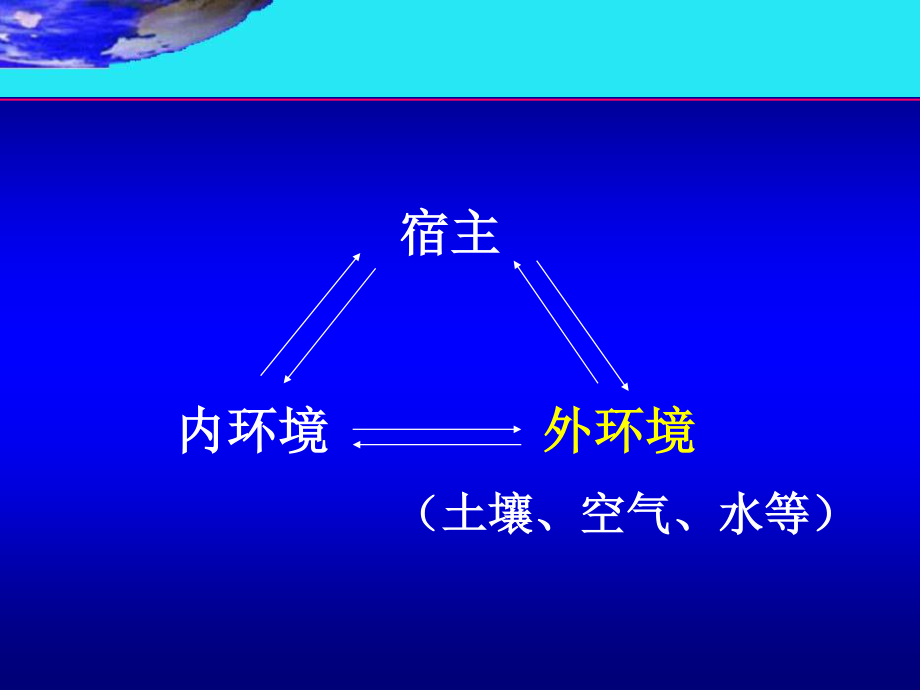 6-感染与免疫-正常菌群与机会致病菌.ppt_第1页