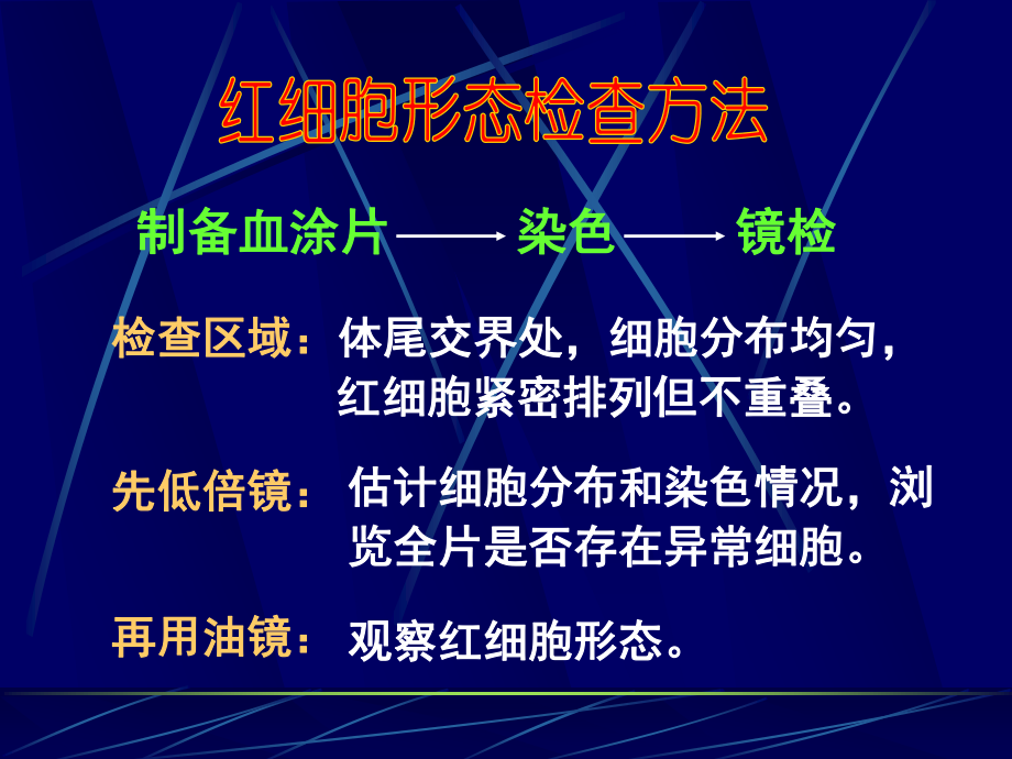 5红细胞形态、压积、网红.ppt_第2页