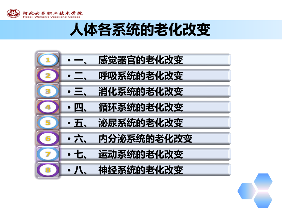 人体各系统的老化改变.pptx_第2页