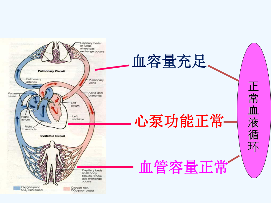 低血容量休克复苏指南及新进展.ppt_第3页