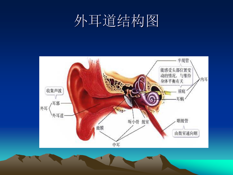 4.儿童听力障碍剖析.ppt_第3页