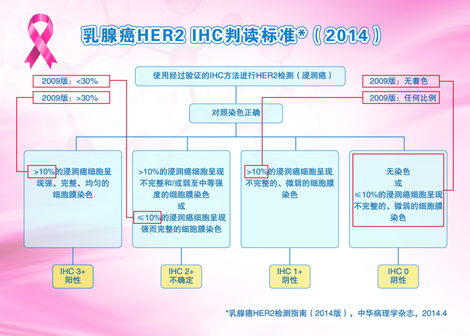 乳腺癌HER2检测指南(2014版)IHC评分标准.pdf_第2页