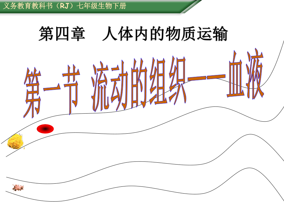 4.1-流动的组织——血液(共45张PPT).ppt_第1页