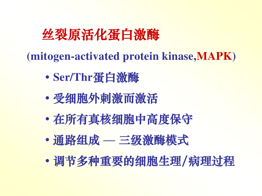 丝裂原活化蛋白激酶.ppt_第2页