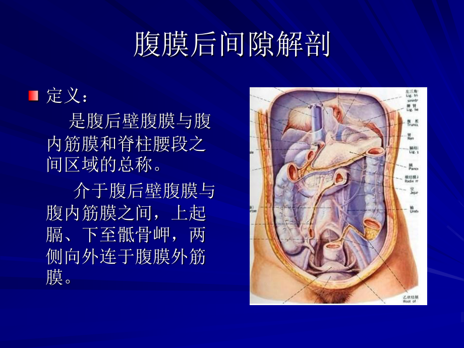 【201204】腹膜后间隙.ppt_第2页