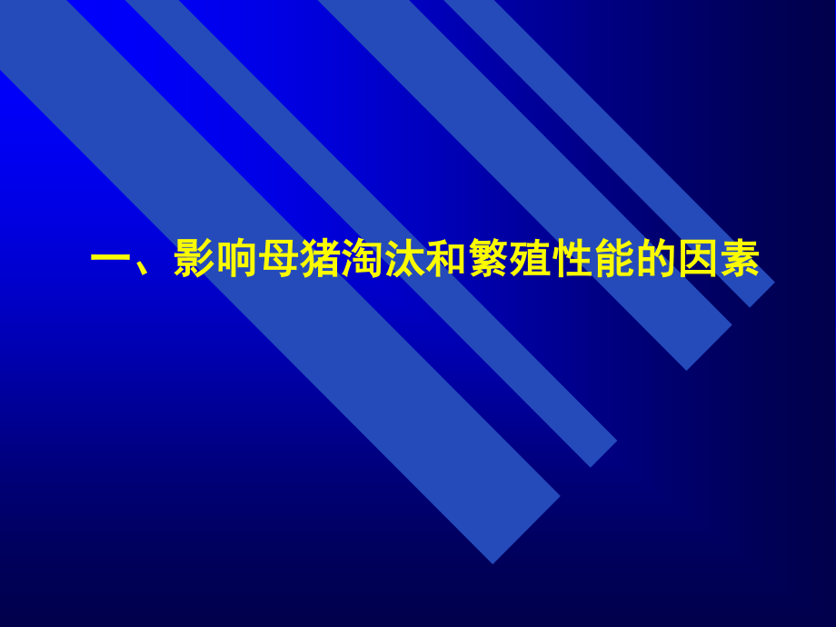 【2019-2020年整理】母猪营养.ppt_第2页