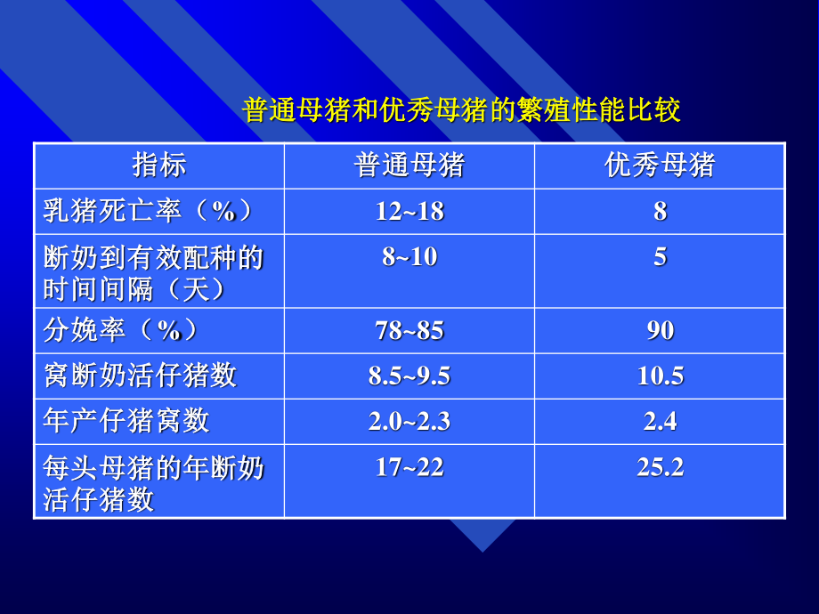 【2019-2020年整理】母猪营养.ppt_第3页