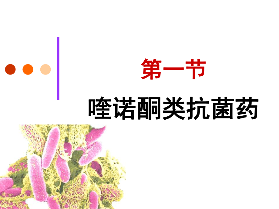 yl人工合成抗菌药.ppt_第3页