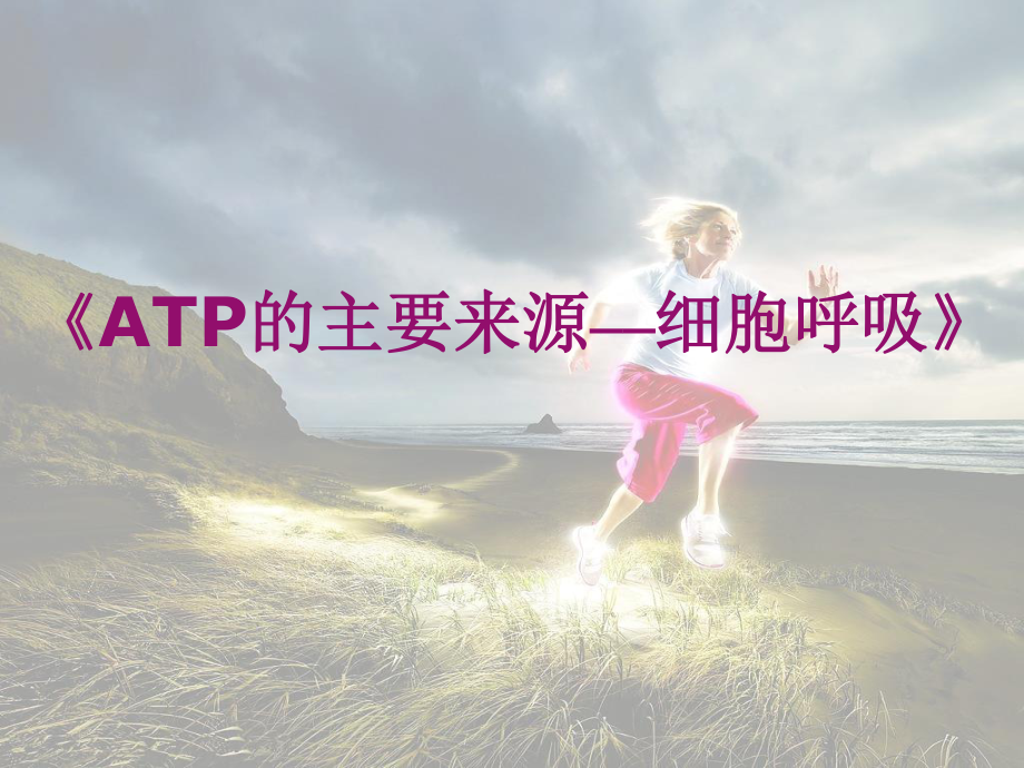 《ATP的主要来源-细胞呼吸》说课稿.ppt_第1页