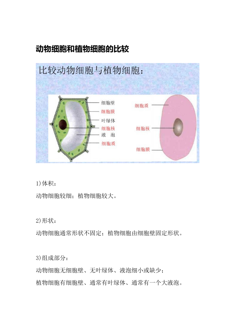 动物细胞和植物细胞的比较.doc_第1页