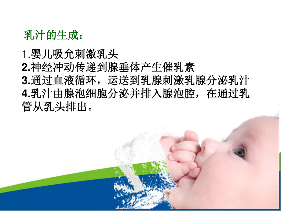 乳汁的生成与分泌.ppt_第3页