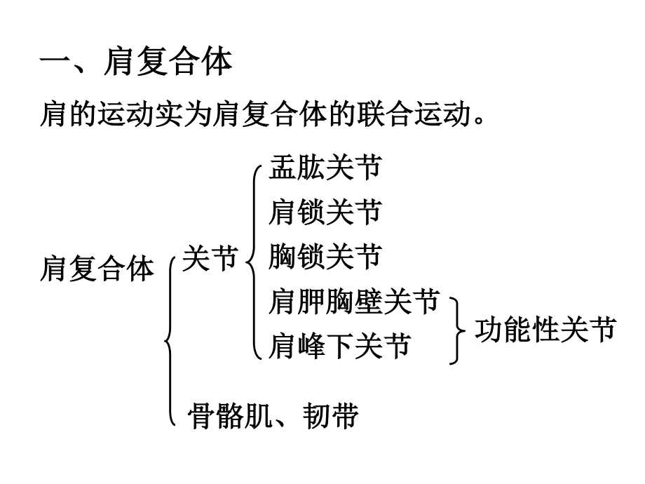 上肢关节运动.ppt_第2页