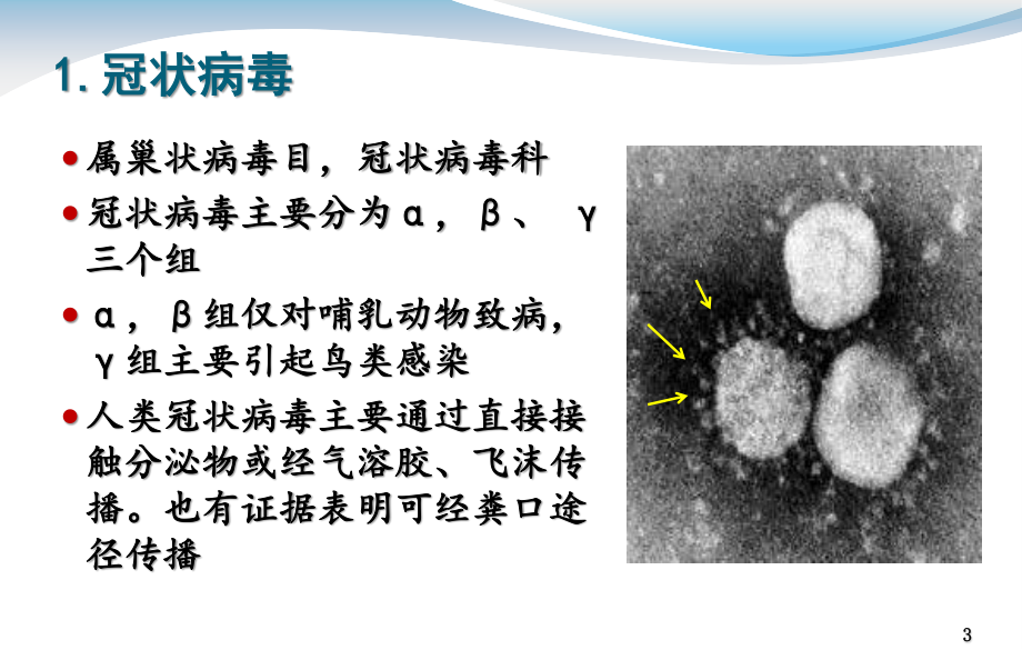 中东呼吸综合征疫情形势及防控措施.ppt_第3页